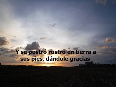 Un Corazón Agradecido