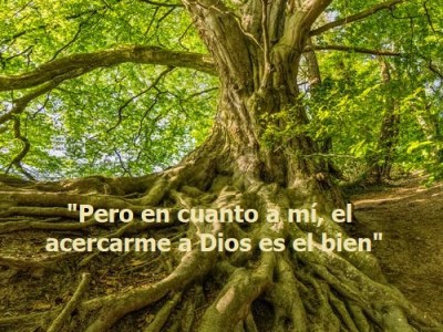 Acercándonos a Dios